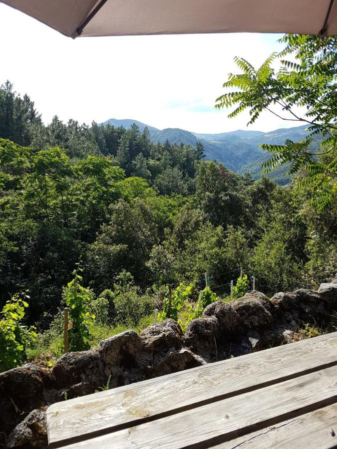 Gite Du Puy Saint-Fortunat-sur-Eyrieux 外观 照片