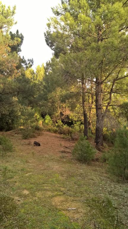 Gite Du Puy Saint-Fortunat-sur-Eyrieux 外观 照片